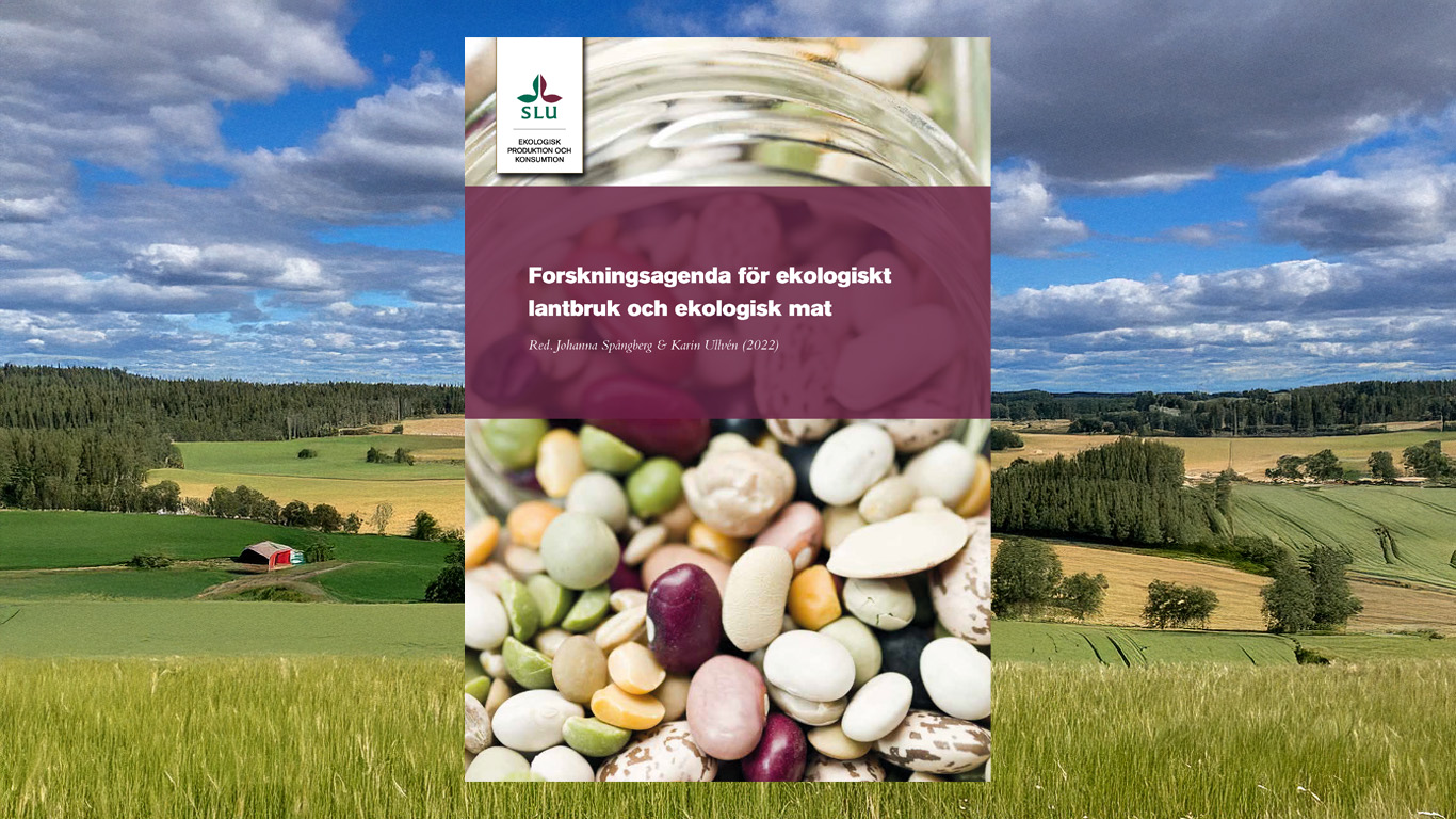 Framsida av forskningsagenda. 