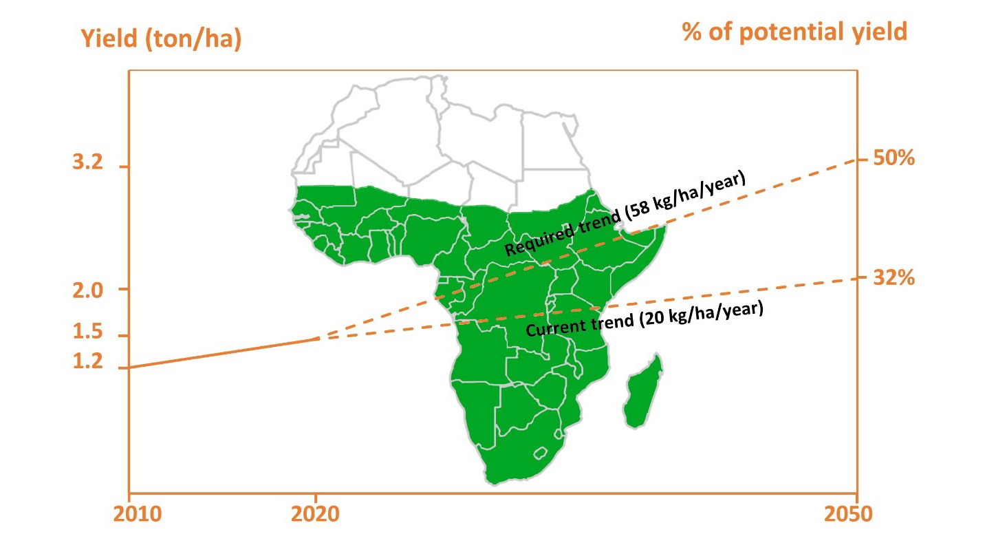 En karta över Afrika med sub-Sahara markerat grönt och en graf som visar att de framtida behoven av skördar är högre än förväntade skördar.