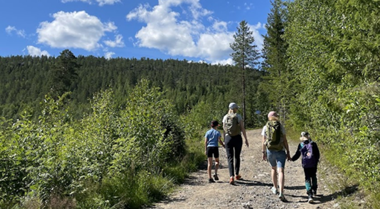 Families walking in the forest