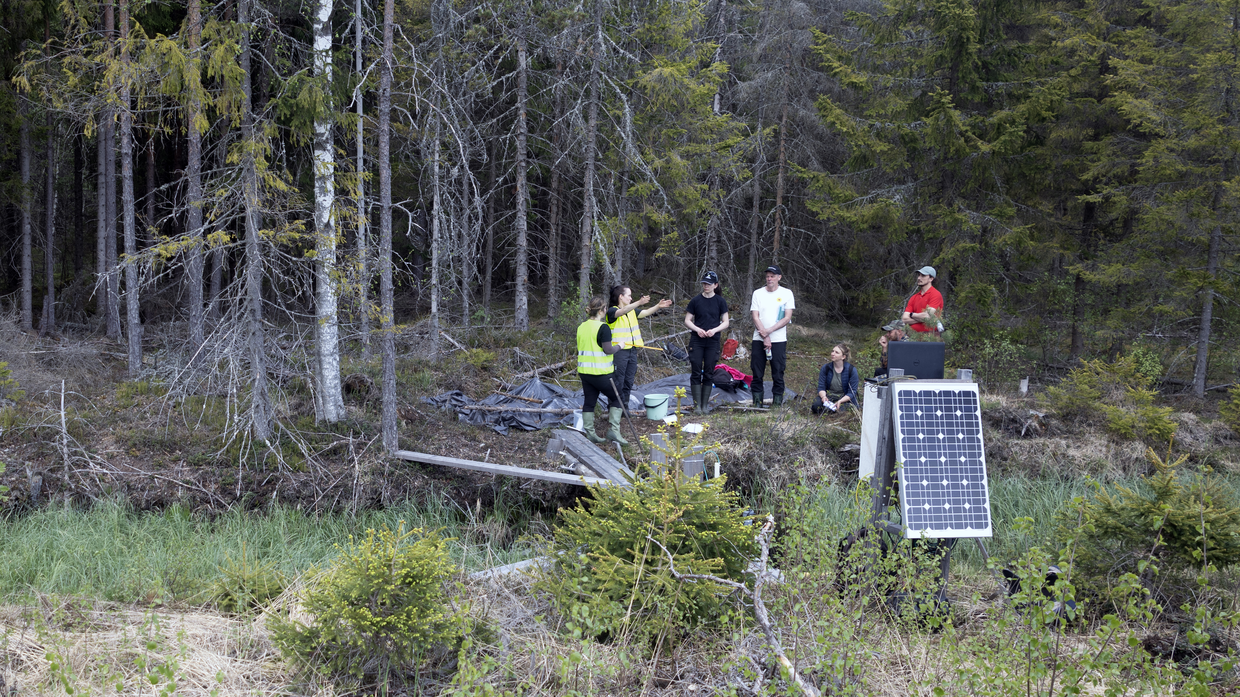 Group of people at the edge of a forest. Photo.
