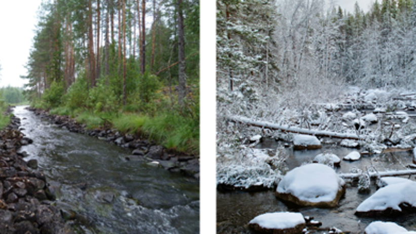 Watercourse beforre and after restoration. Photo collage.