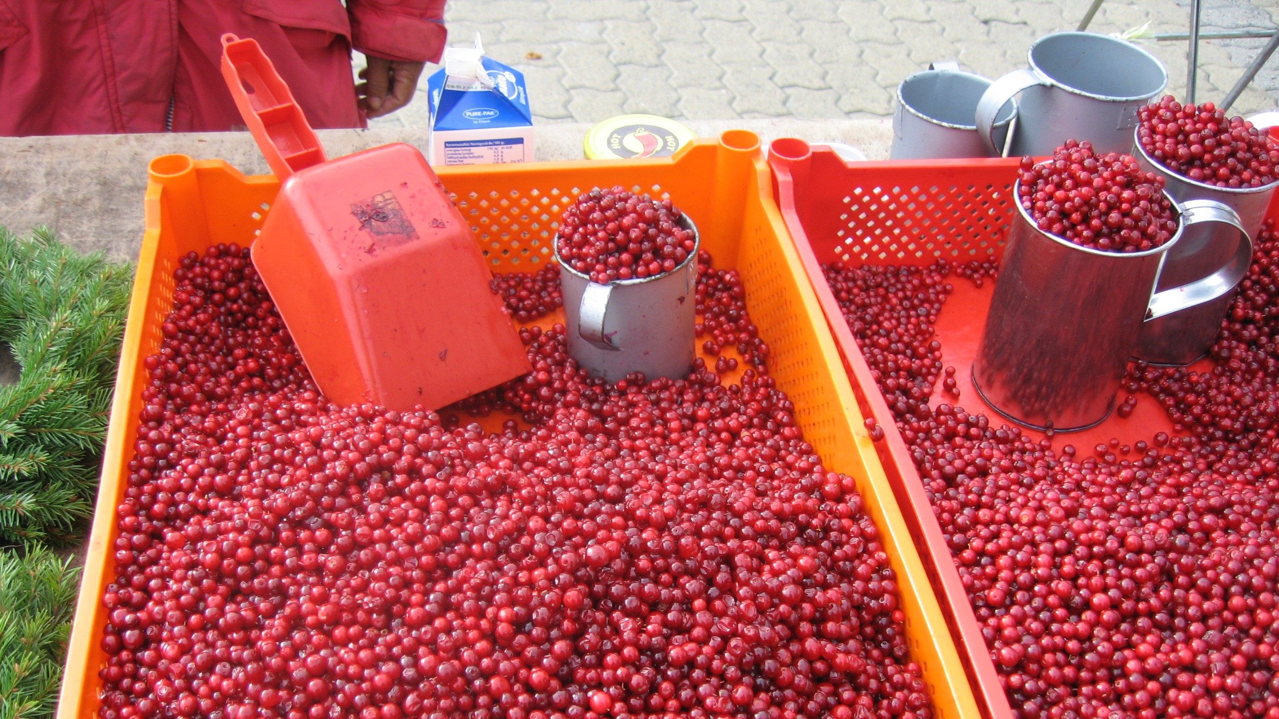 En trälåda full med lingon står på ett torgstånd. I lådan ligger en skopa. Bakom lådan syns en torgförsäljare. 