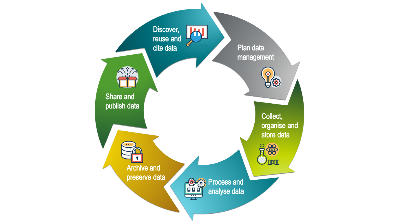 Schematic diagram illustrating the research data life cycle. Illustration.