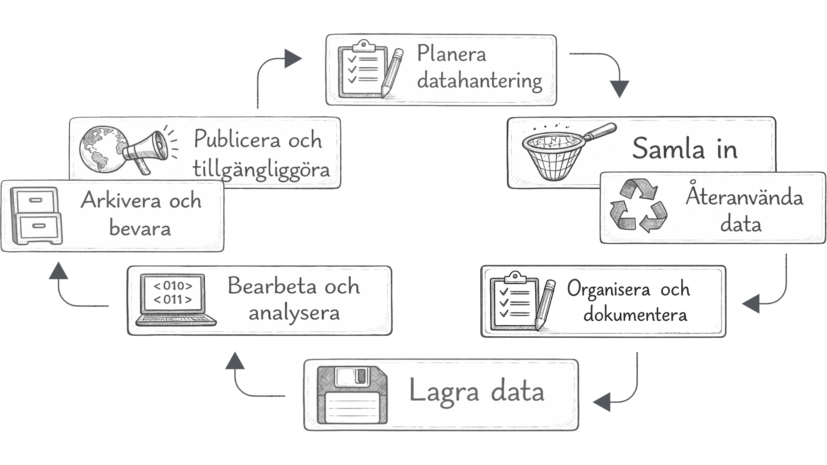 Illustration of the data life cycle.