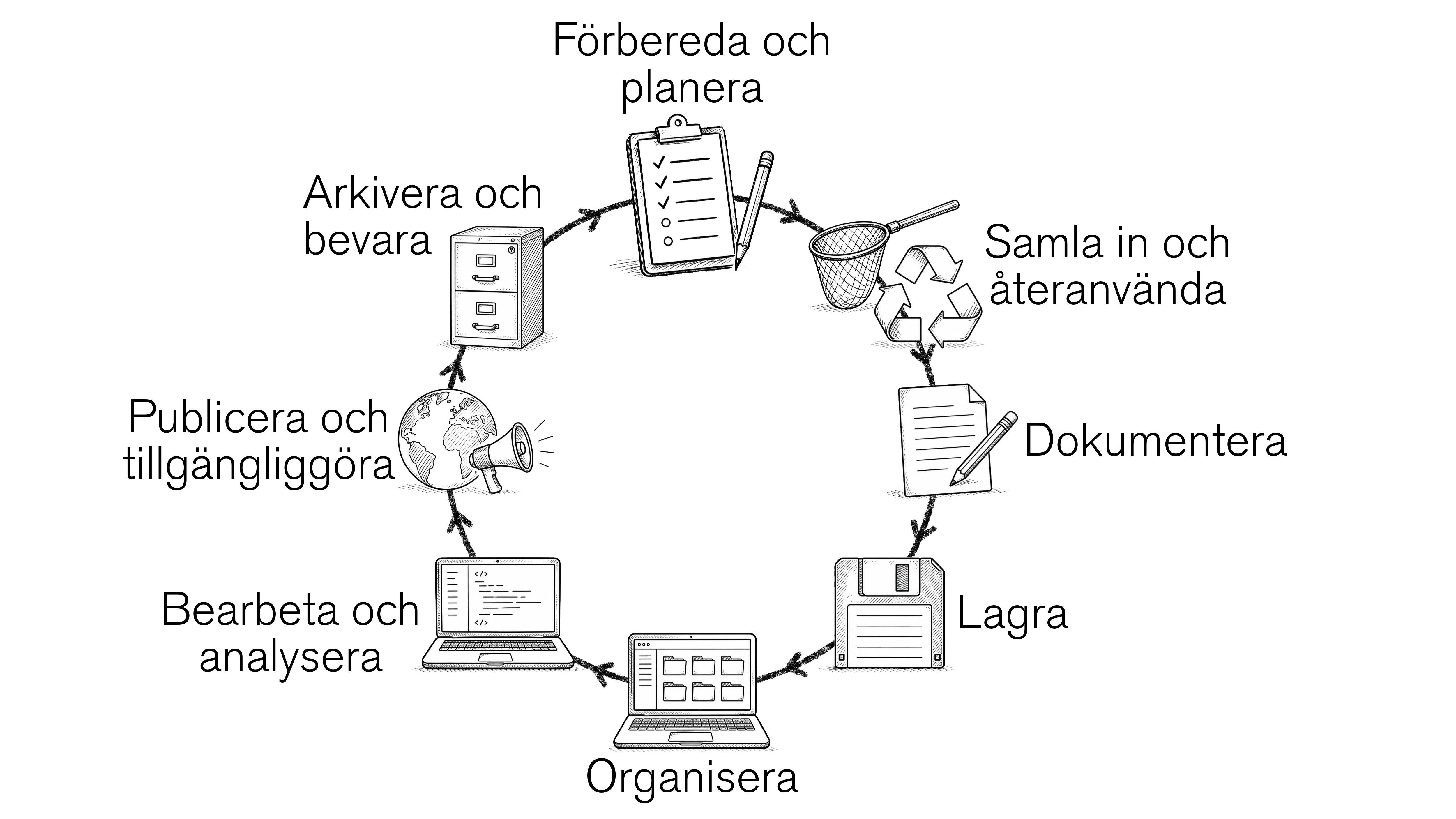 Schematisk model av datalivscykeln. Illustration.