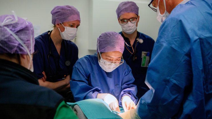 Five people wearing blue medical clothing, face masks and gloves performing an operation.