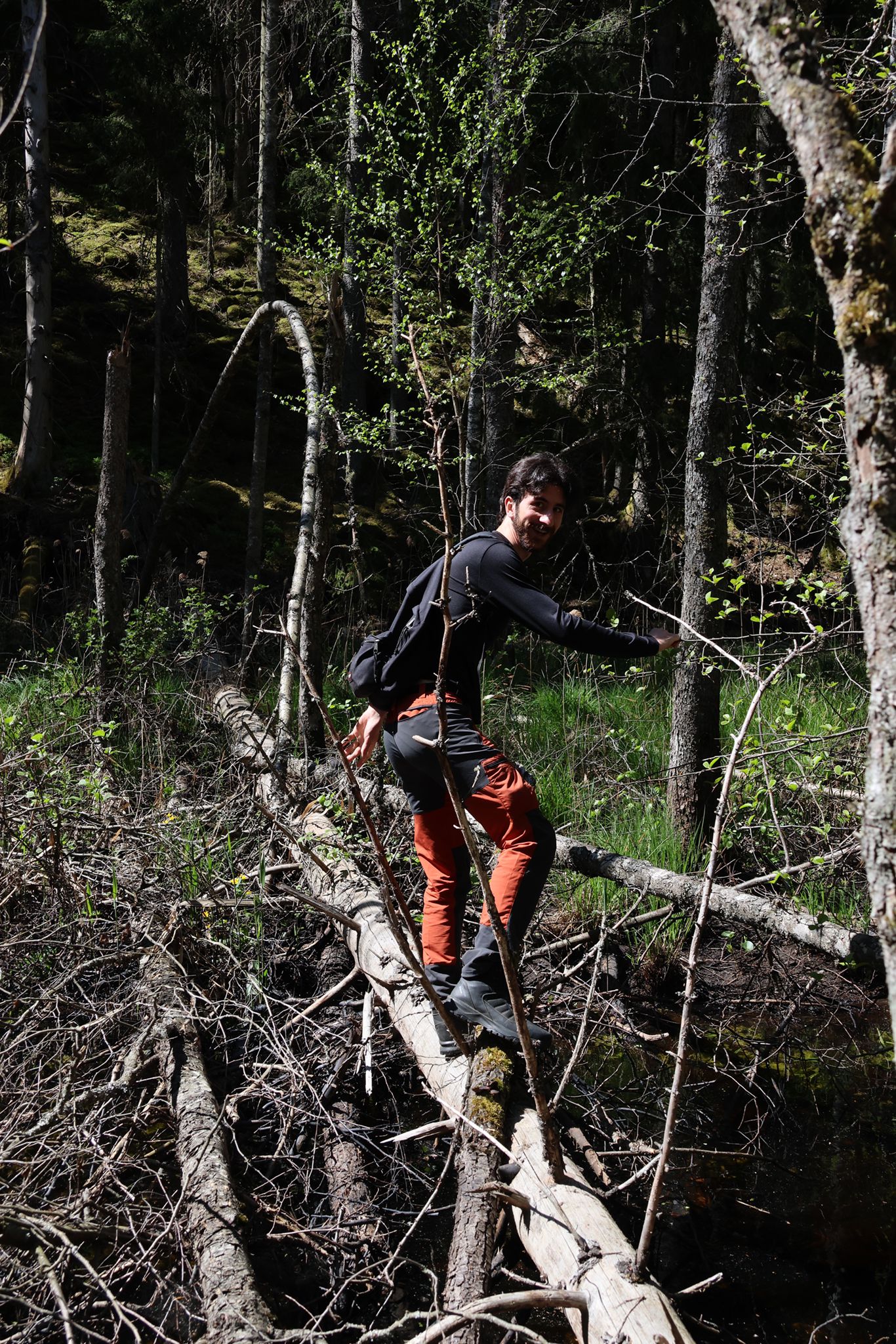 En man som står på stockar vilka ligger över ett vattendrag i skogen. Foto.