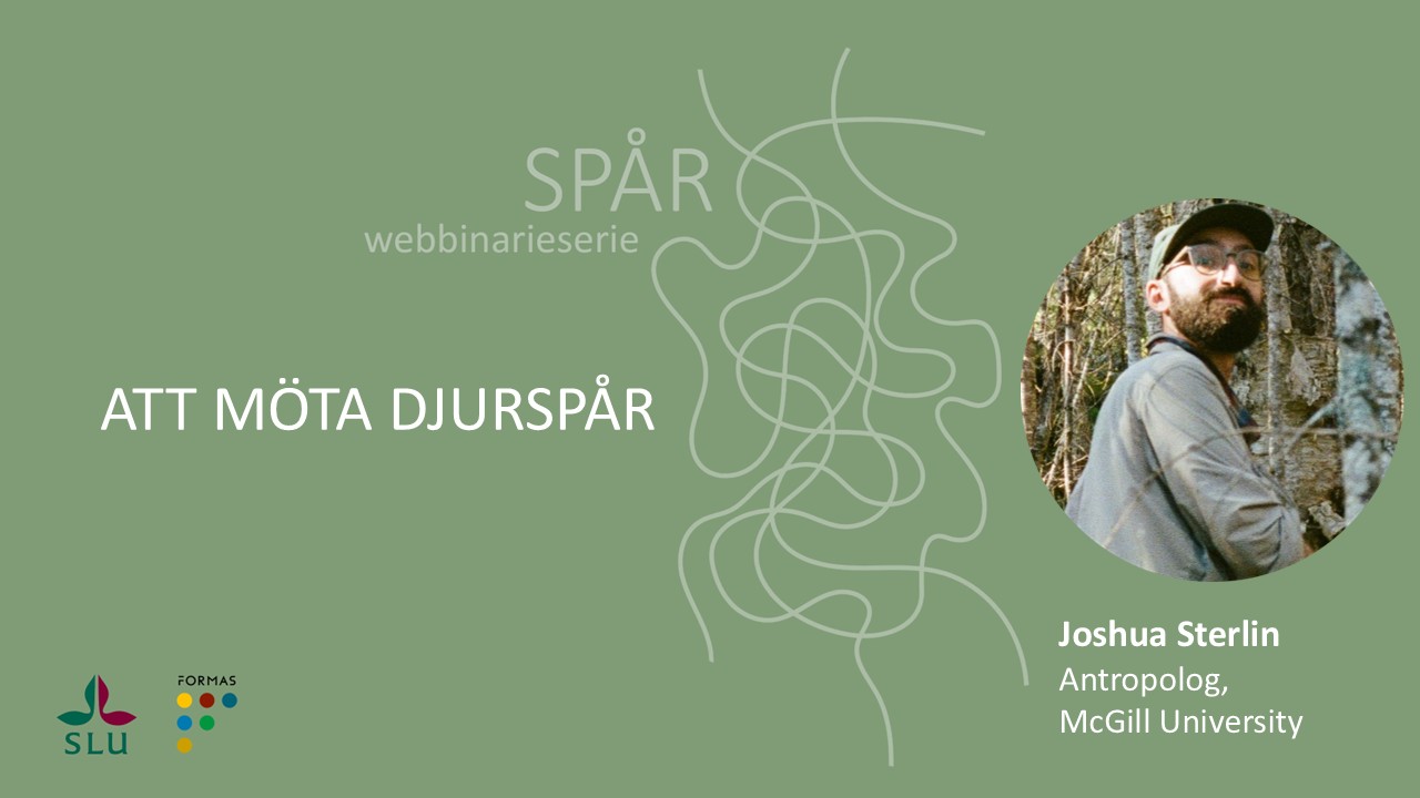 Spår #4