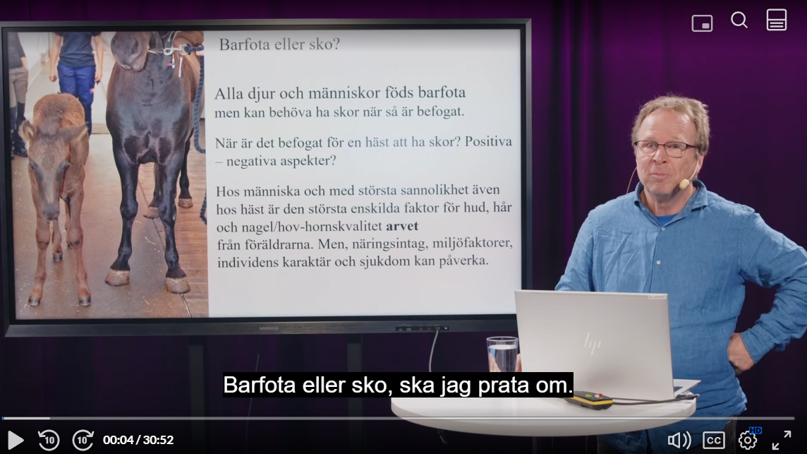 Skärmdump av en föreläsning med hästforskare Ove Wattle.