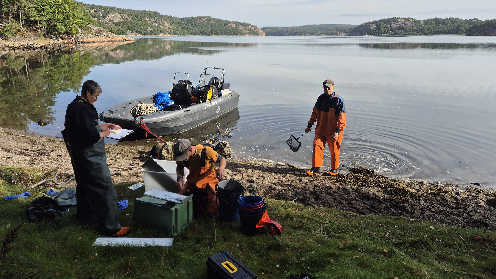 Grupp av personer registerar fisk på en strand 