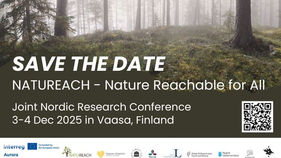 Poster with pines in morning fog