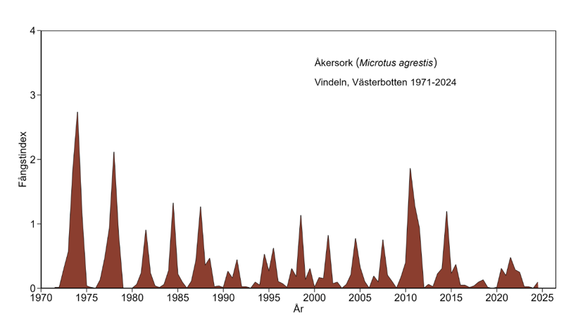 Diagram som visar antalet åkersorkar som fångats