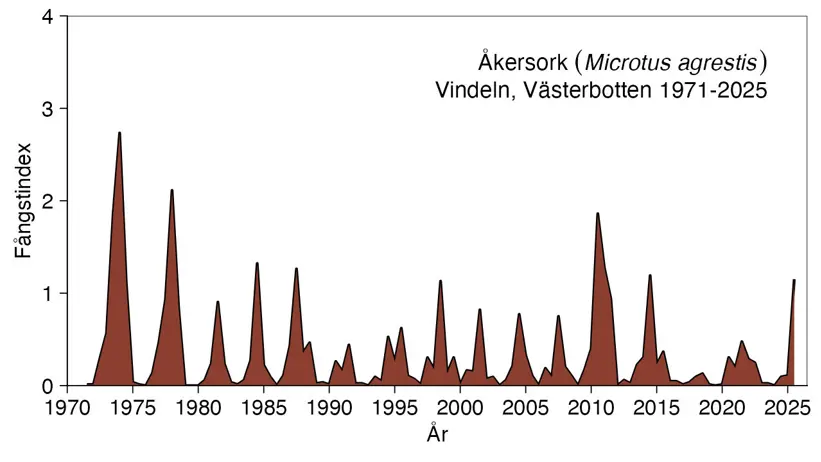 Diagrammet visar antalet fångade åkersorkar.