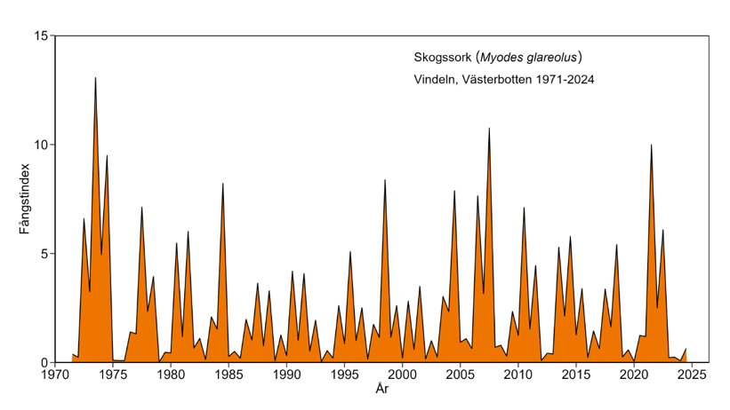 Diagram som visar antal fångade skogssorkar