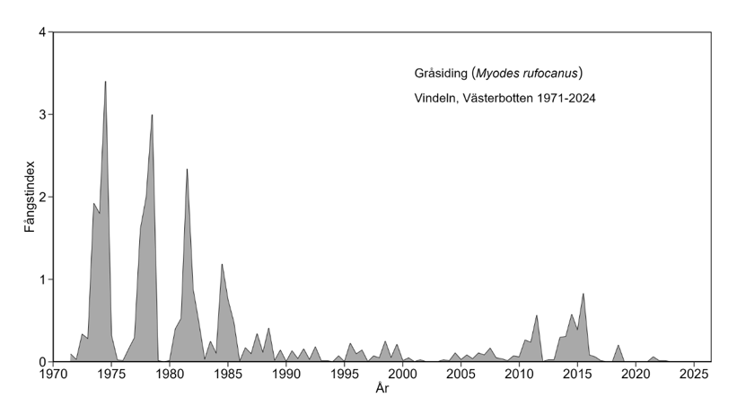 Diagrammet visar antalet gråsidingar som fångats