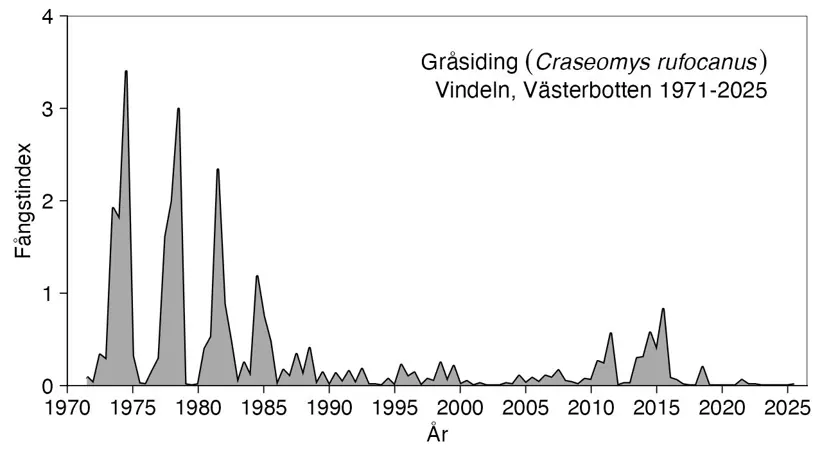 Diagrammet visar antalet fångade gråsidingar.