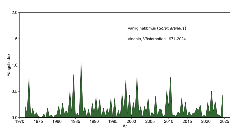 Diagrammet visar antalet fångade näbbmöss