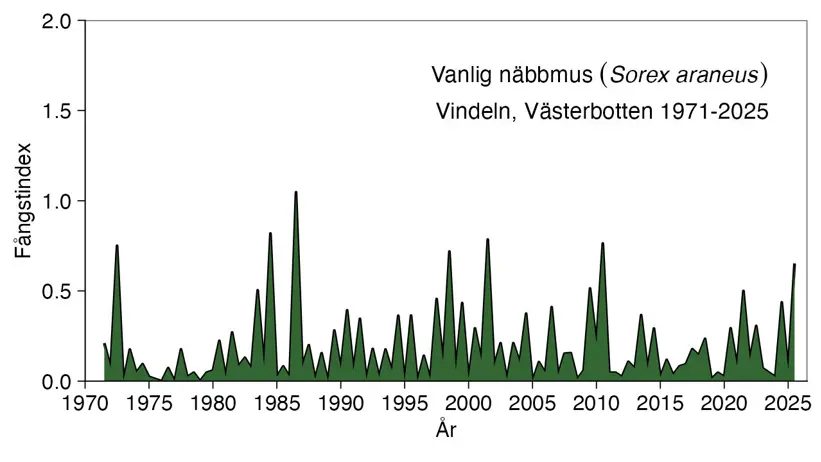 Diagram över antalet fångade näbbmöss.