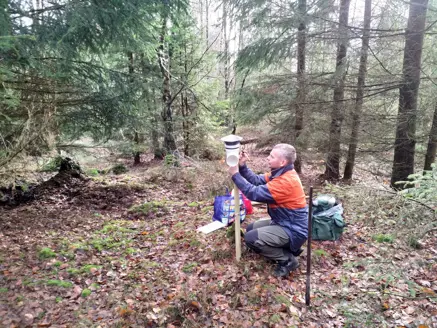 man sitter i skogen