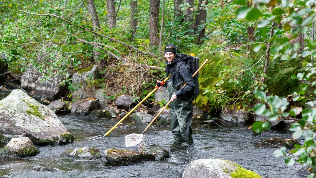 A group of people in wading boots are electrofishing in a small stream surrounded by lush forest.