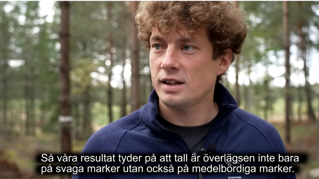 man i skogen