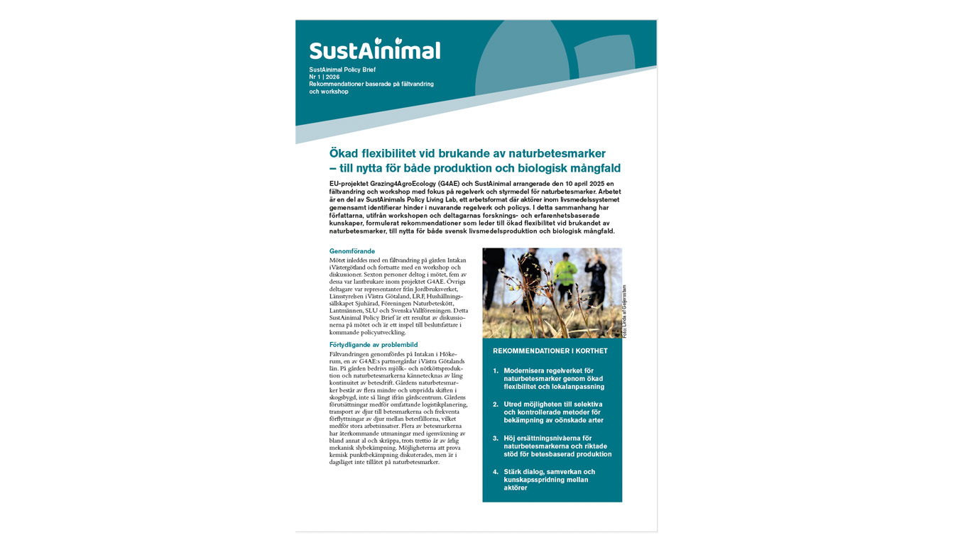 Framsida av policy brief.