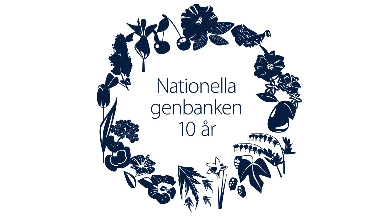 En mörkblå krans av illustrerade blommor. I mitten av kransen finns texten "Nationella genbanken 10 år".