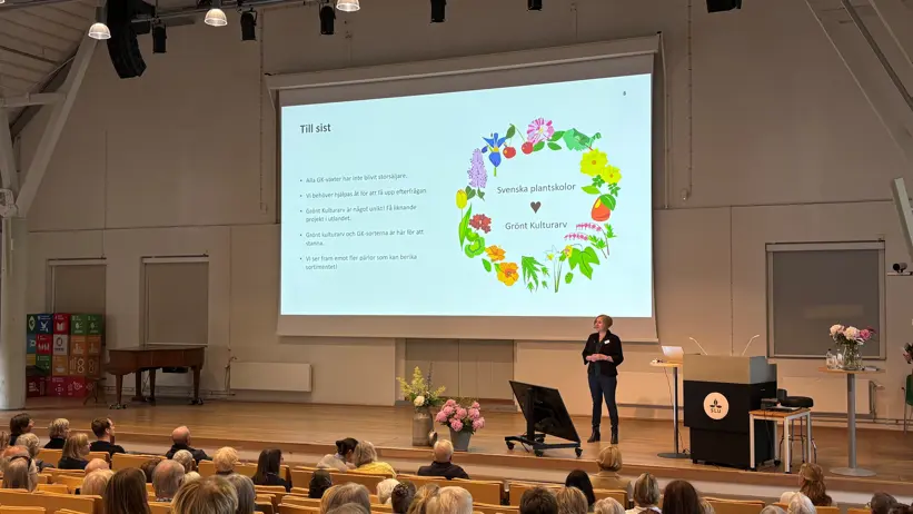 Helena Jauhiainen står på en scen och framför en stor skärm. På skärmen står "Svenska plantskolor älskar Grönt kulturarv".