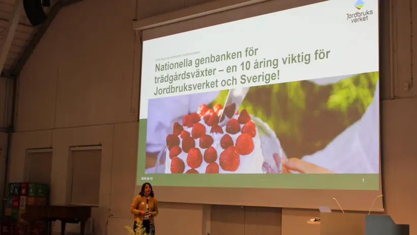 Karin Bunnvik från Jordbruksverket har en presentation framför en stor skärm. På skärmen syns en stor tårta och det står "Nationella genbanken för trädgårdsväxter. En 10-åring viktig för Jordbruksverket och Sverige."