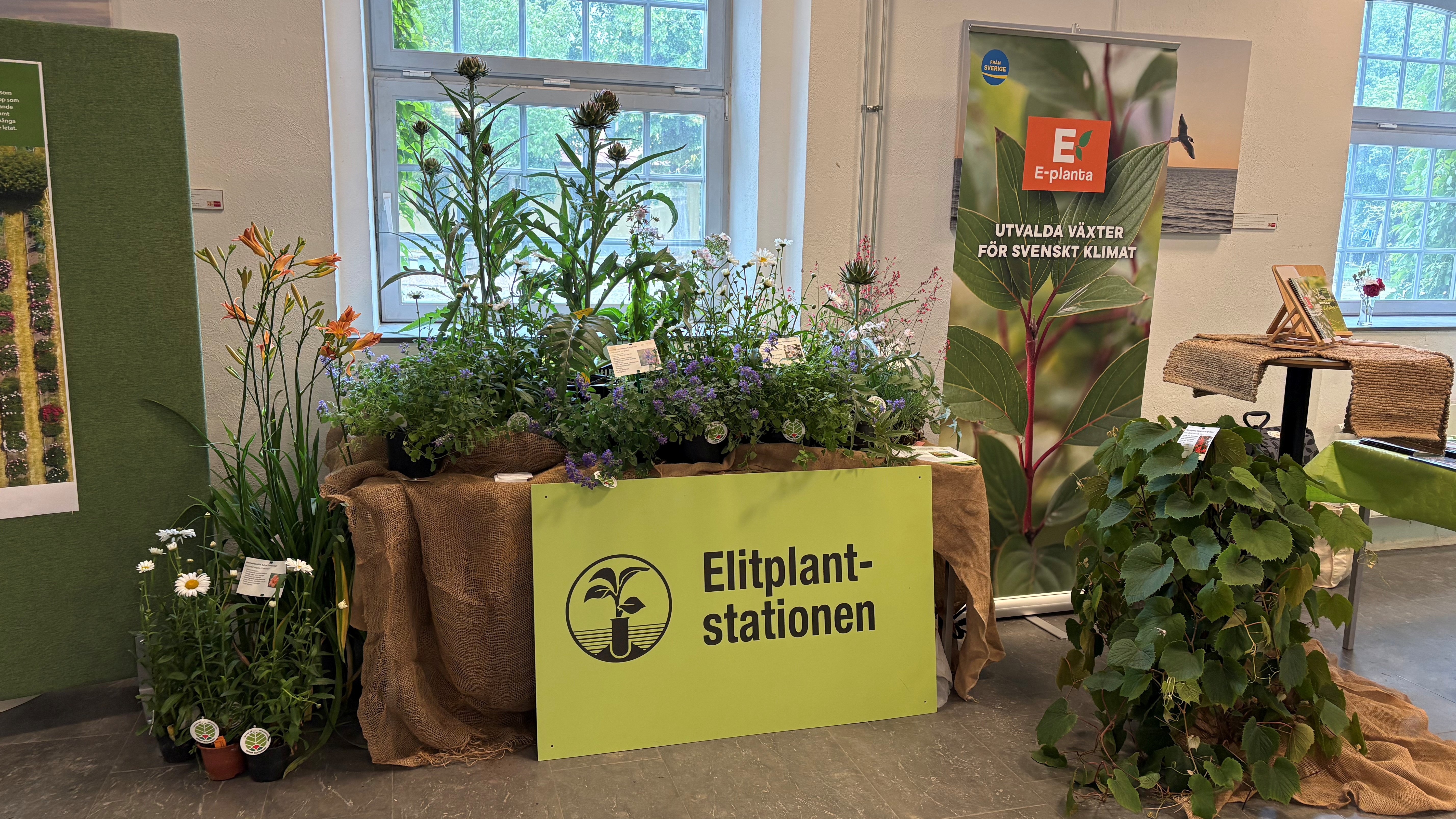 Elitplantstationen och E-planta har var sin monter med växter. 