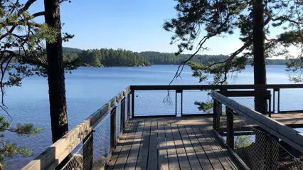 Wood bridge by a lake