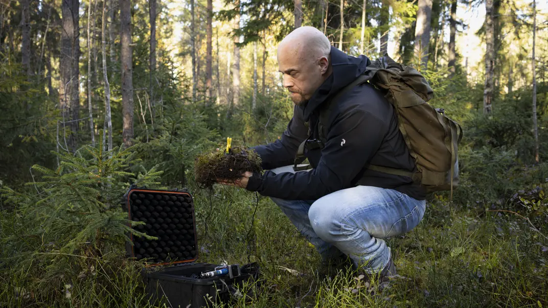 Forskare sitter på huk i skogen. Foto.
