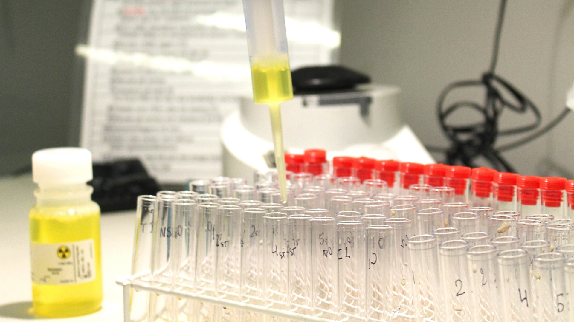 Test tube rack with transparent test tubes. The test tubes have yellow liquid inside and red caps. Next to the test tube rack is a jar filled with yellow liquid with a danger symbol on the front of the jar.