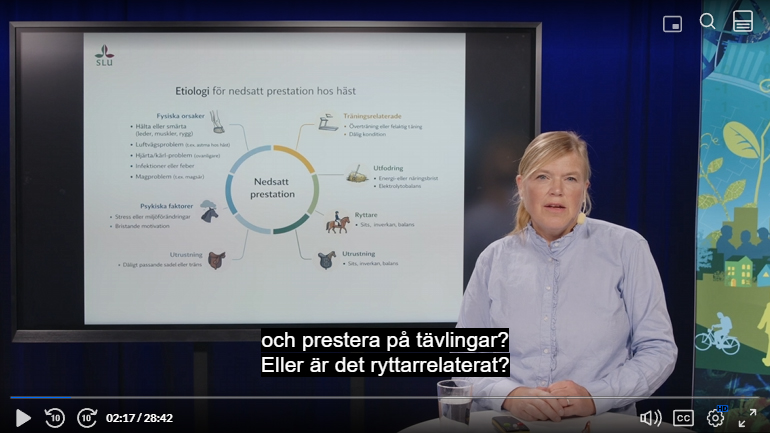 Skärmdump av videoföreläsning om nedsatt prestation hos hästar av hästforskare Miia Riihimäki vid SLU. 