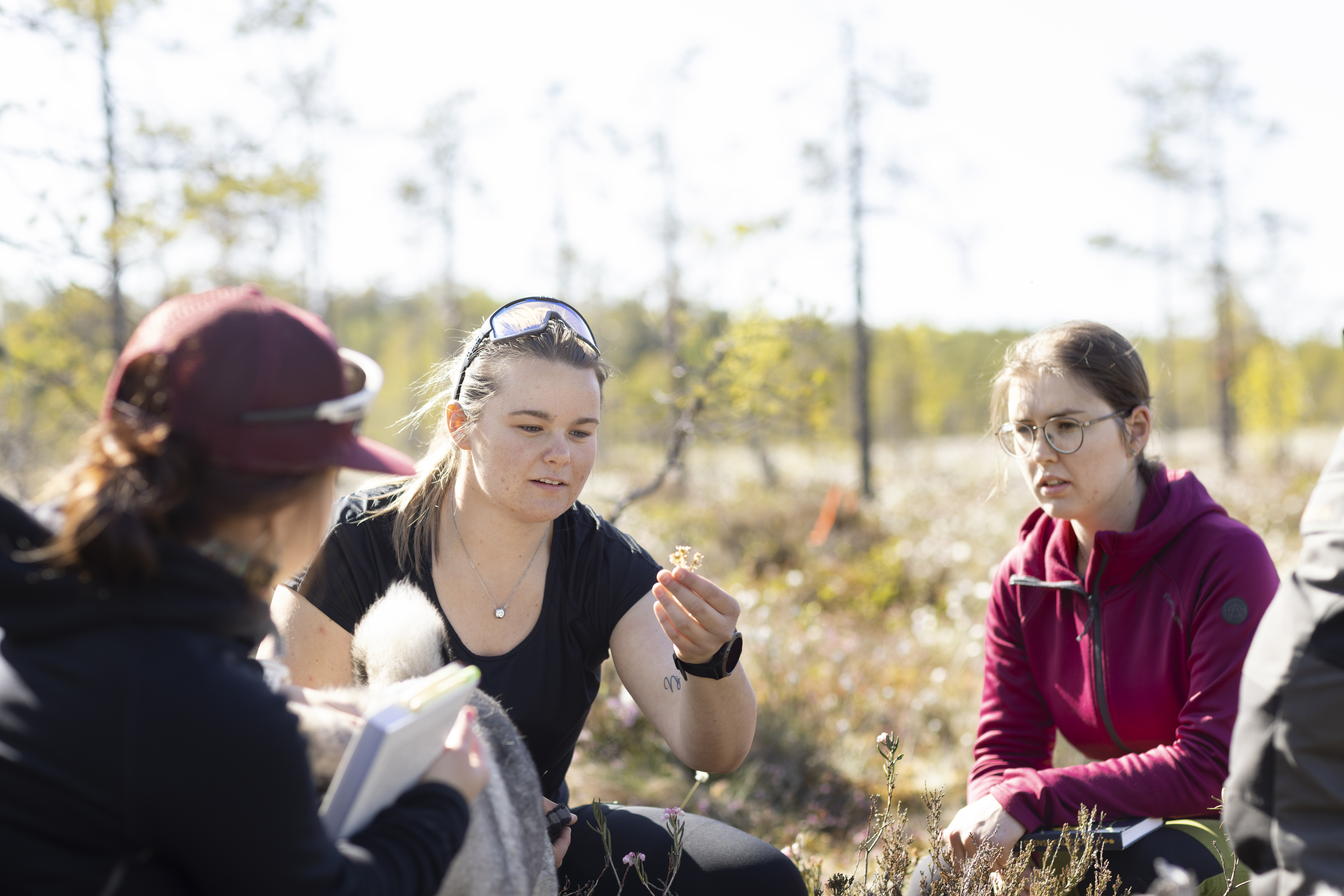 Students looking at a specimen