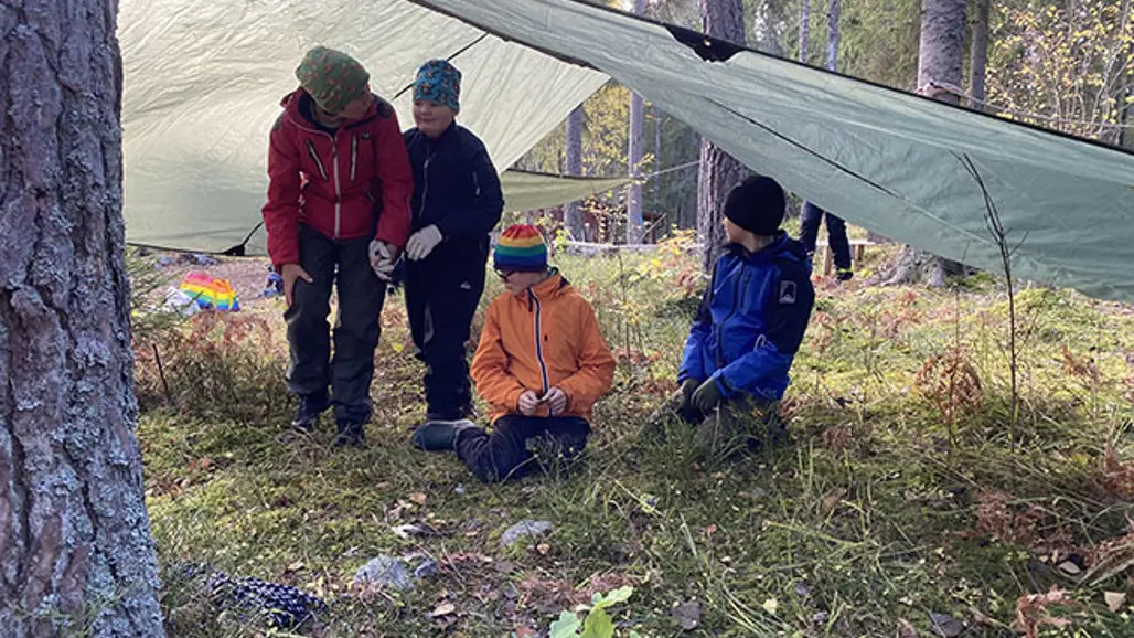 Mullegrupp under en presenning i skogen.