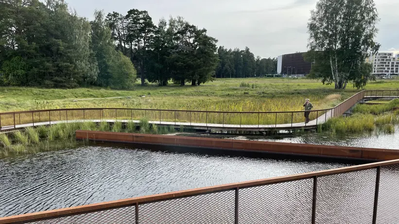 Damm omgiven av promenadstråk. Foto.