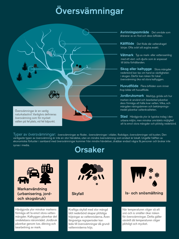 Översvämningar. Illustration.