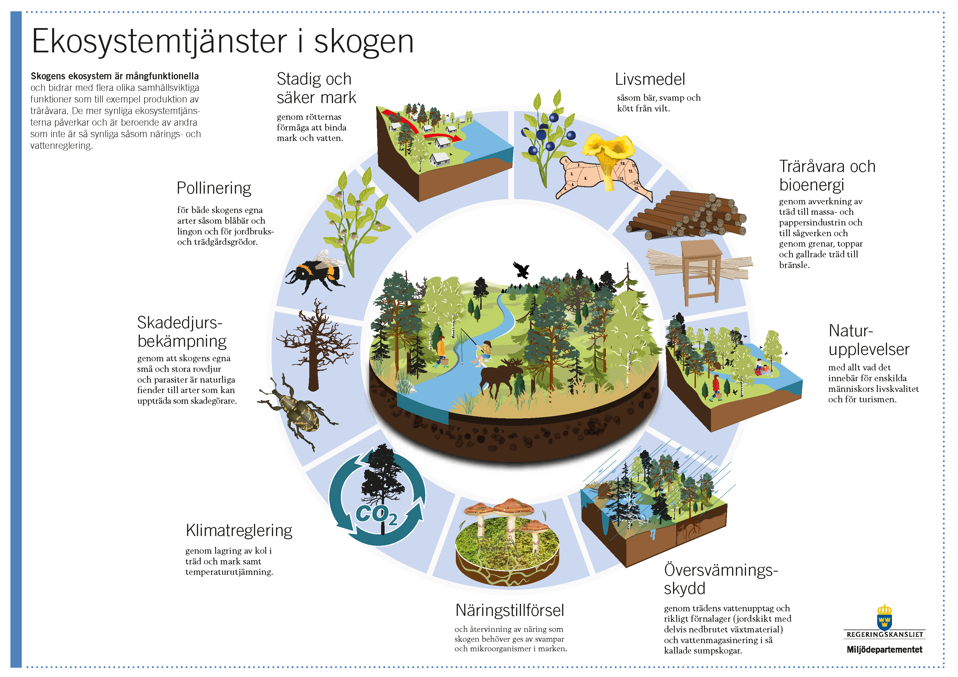Ecosystem services in the forest