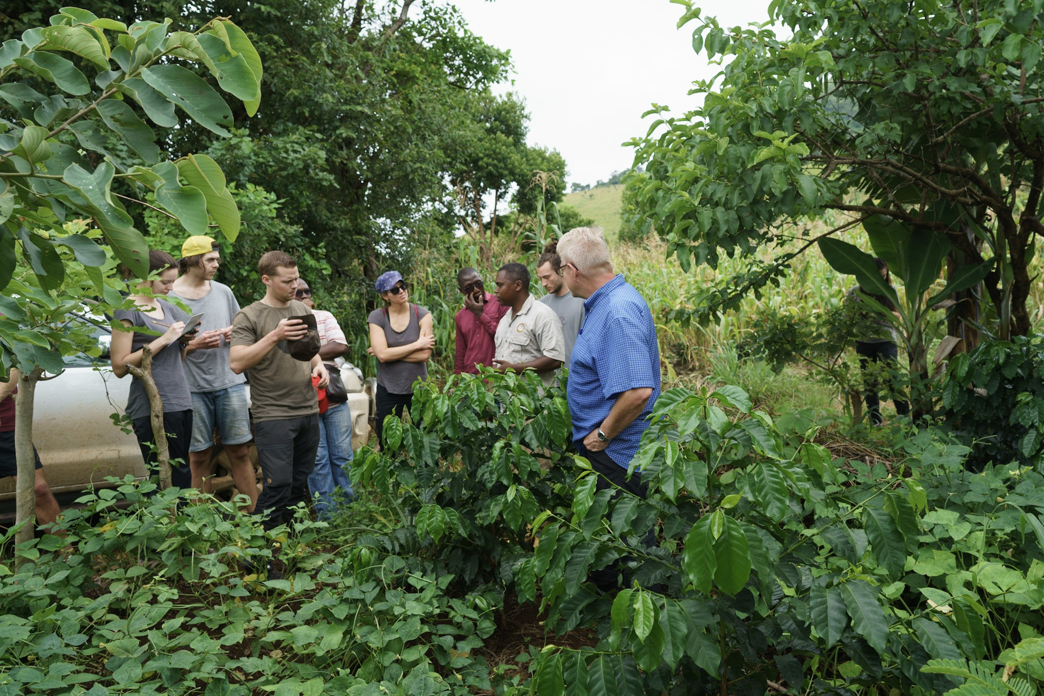 a groupe of people in the tropics
