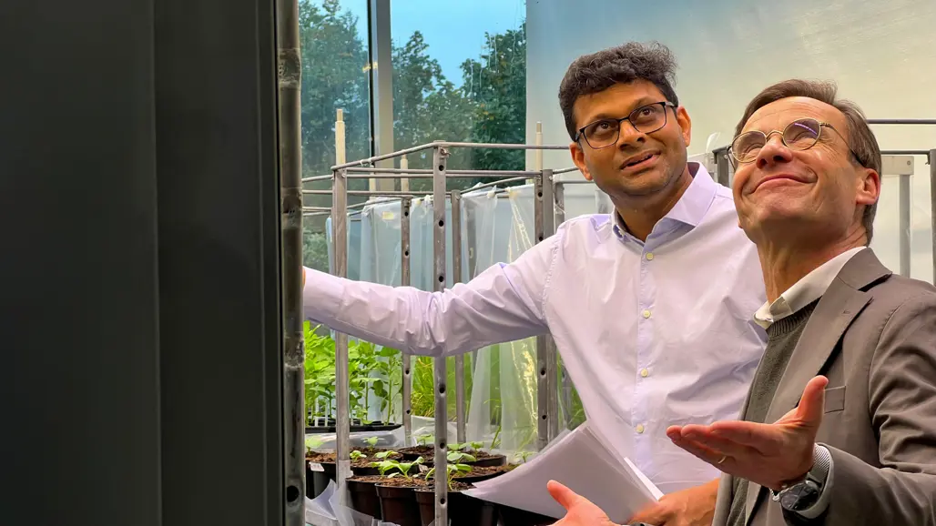 Two men in a greenhouse. Photo.