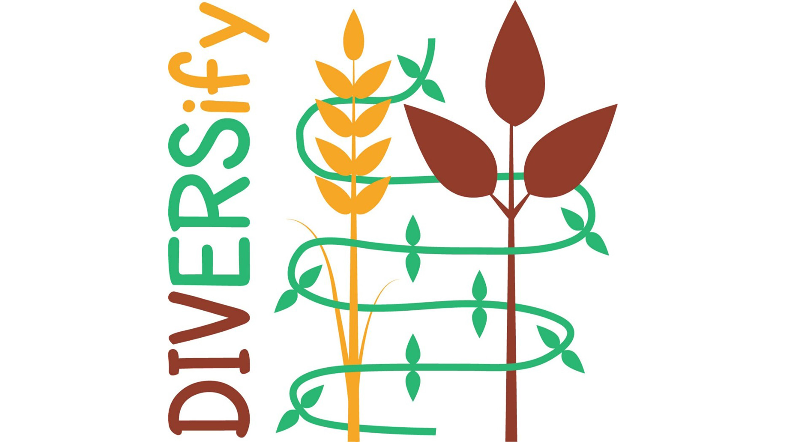 Logotype for Diversify