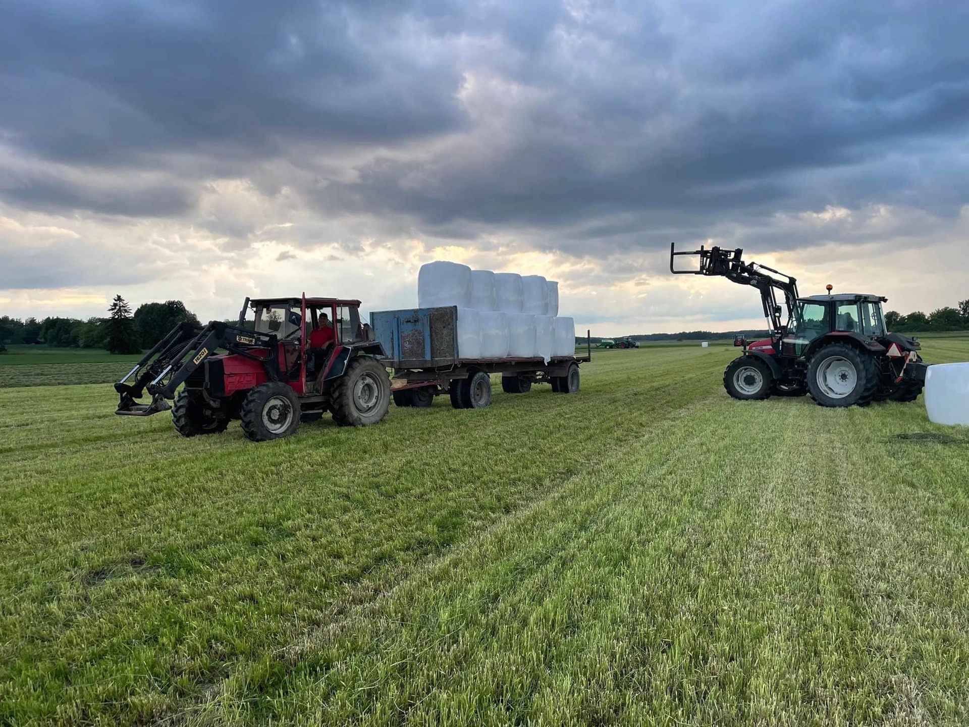Tractors load silage on fields. Photo.