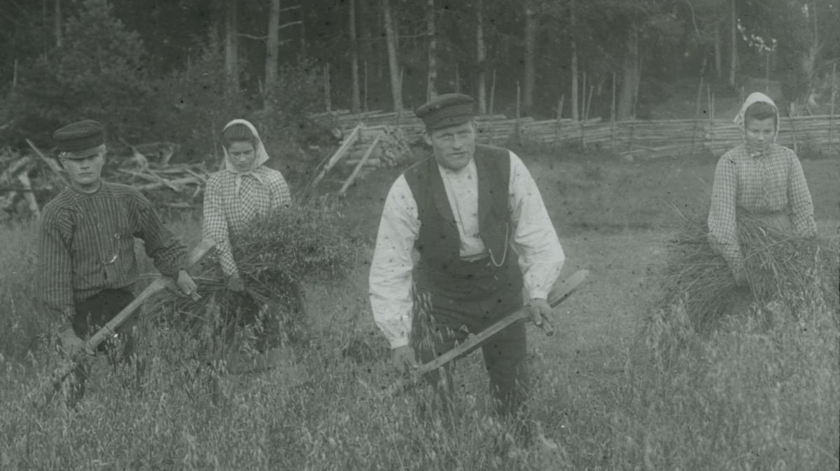 Swedish Researchers Use History to Secure Future Food Supplies