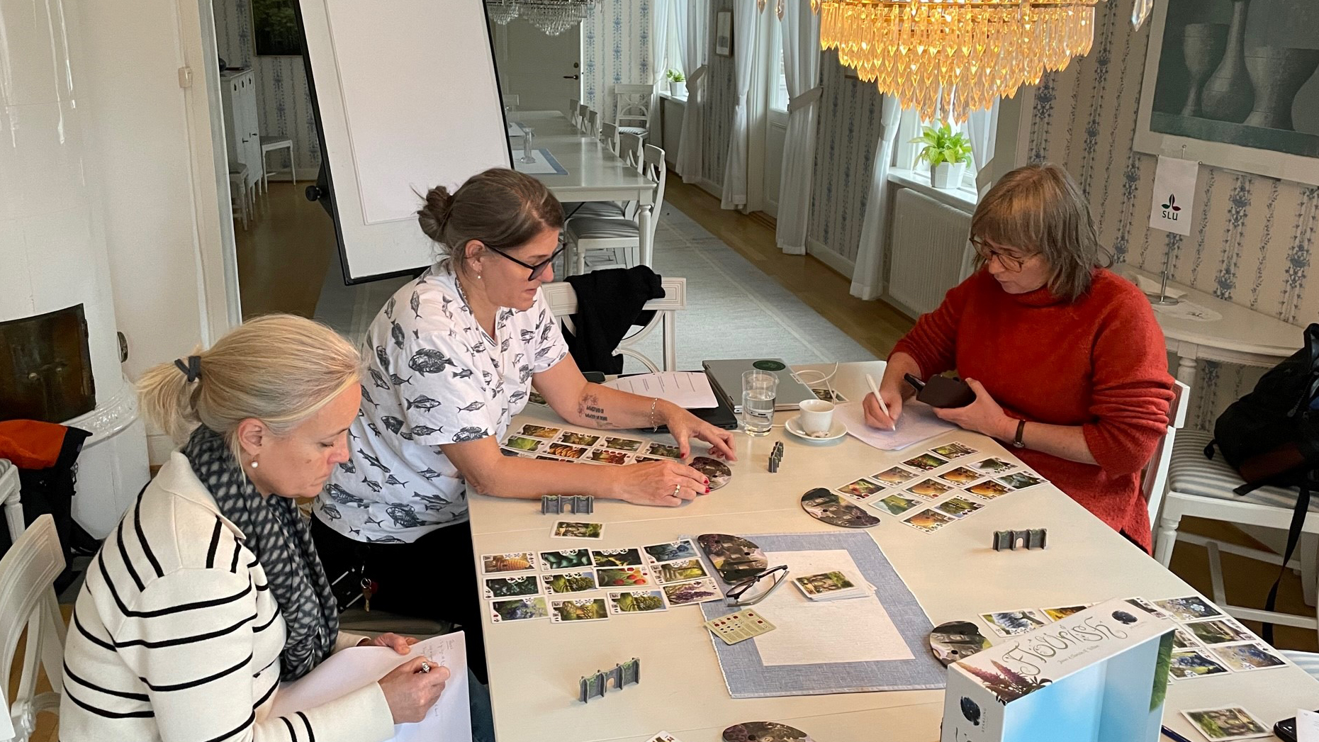 Grupp studerar brädspel. Foto.