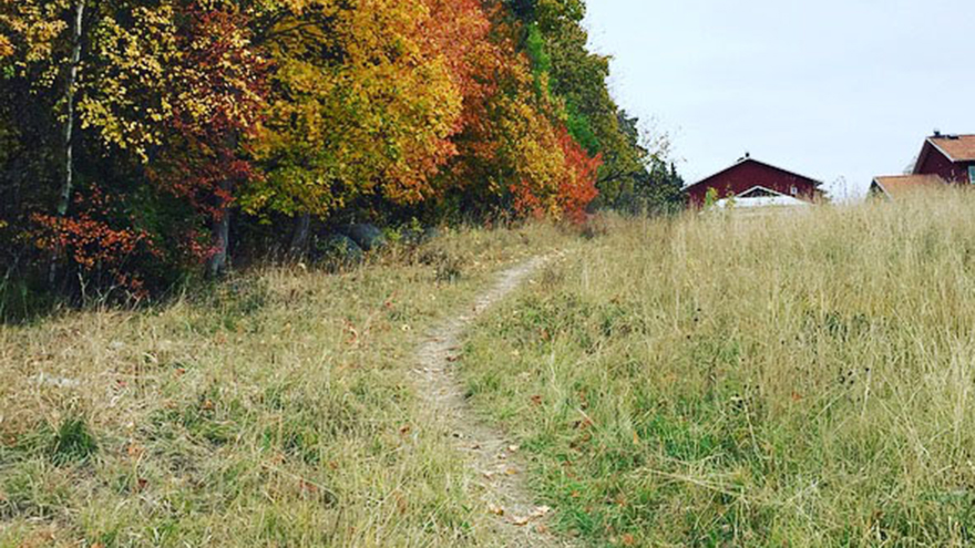 Stig som leder över en äng
