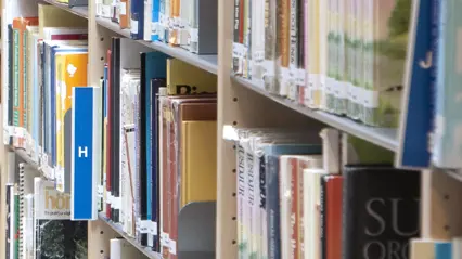 Books in library bookshelf. Photo.