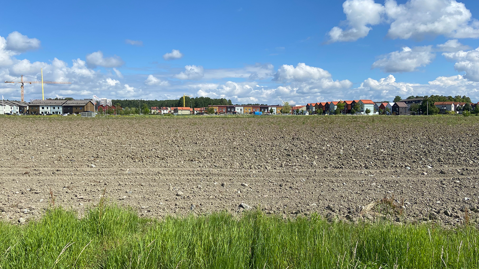 Åker med byggnader i bakgrunden