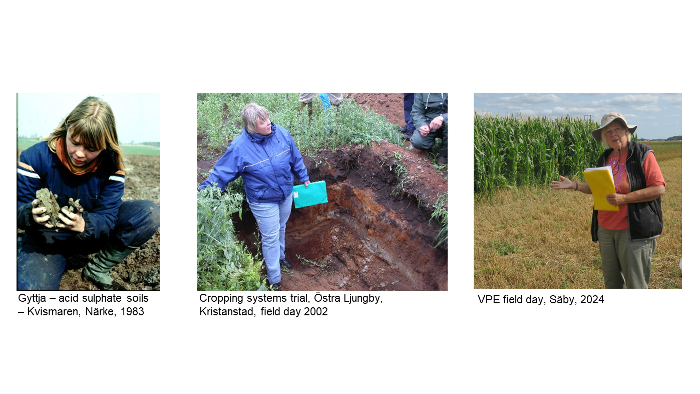 Kollage av tre bilder på Ingrid Öborn i fält, från olika tidpunkter i livet. 