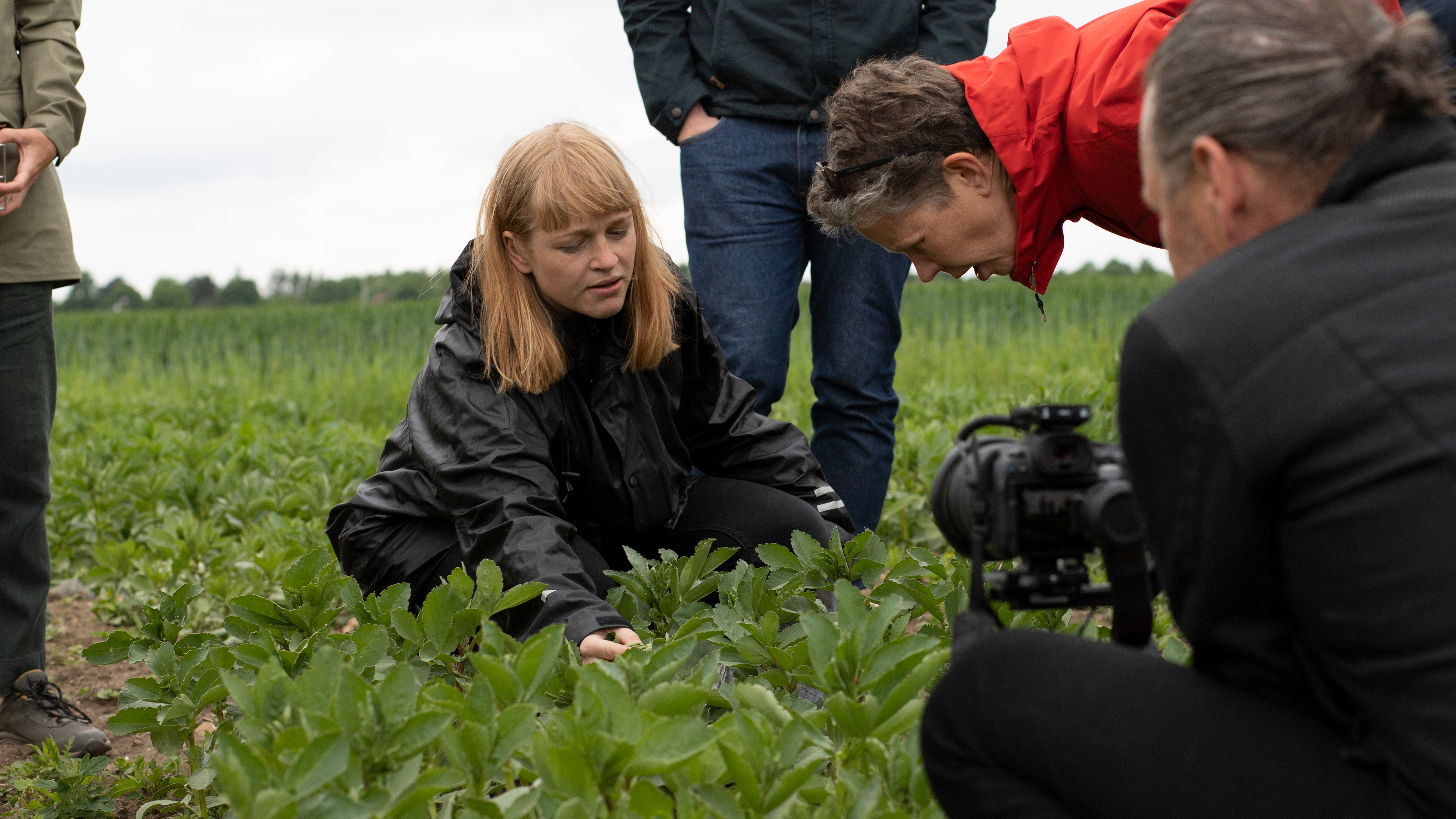 En kamera riktas mot en person som visar något i fält.